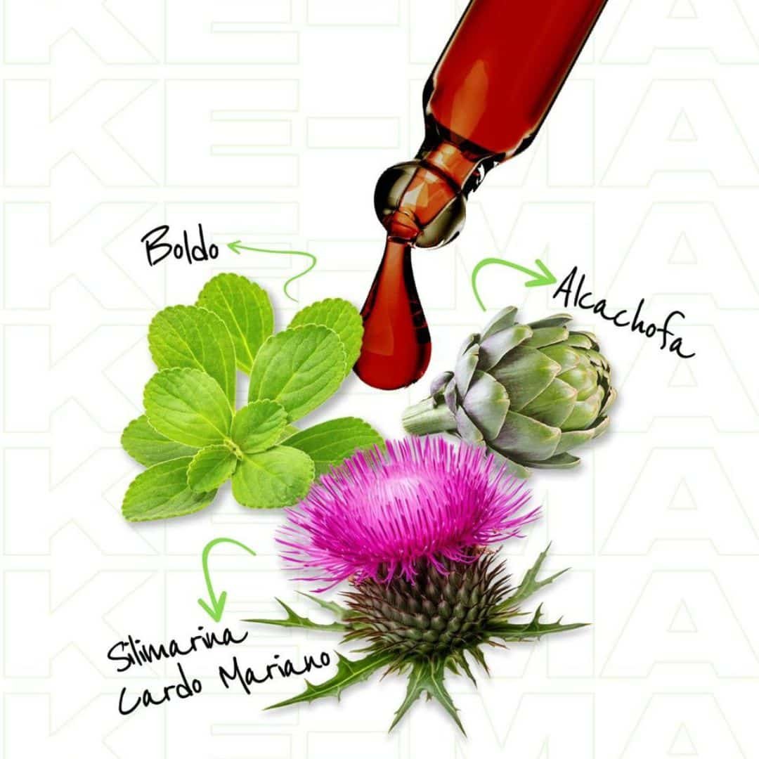 Drenador KE-MA - Imagen 3